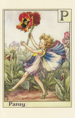 Cicely Mary Barker: Orvokin keiju, kirjain P