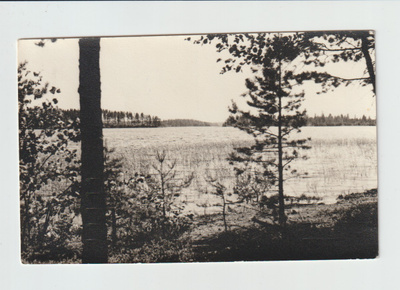 Postikortti, TEINIHARJU, Ylioppilasliiton leirikylä