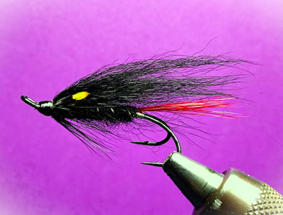 Lohiperho Black Prince # 6 d Wilson