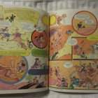 Walt Disney / Hessu ja Mikki Marco Polo - pikkukuva 5