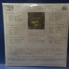 JUKKA TOLONEN - SUMMER GAMES - UUSI "SS" FIN 2021 LP - pikkukuva 2
