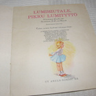 Lucille - täti - van Hummik Lumihiutale, pikku lumityttö - pikkukuva 2