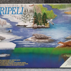 Meripeli 1991 Taikametsä - pikkukuva 1