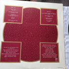 LP-LEVY: WIGWAM : THE LUCKY GOLDEN STRIPES AND STARPOSE - pikkukuva 2