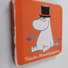 Tutustu muumipappaan - pikkukuva 1