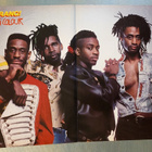 Faster Pussycat - Taime / Living Colour : Vanha posteri - pikkukuva 2