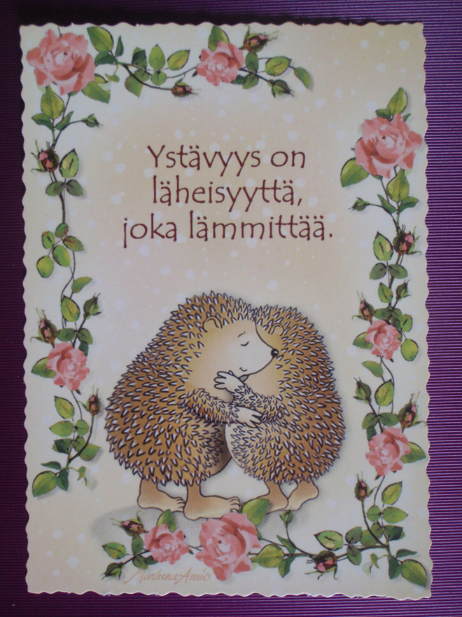 Marleena Ansio siilit halaavat ruusukehyksessä
