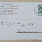 Lapset koristavat harjan joulukuuseksi, p. 1904 - pikkukuva 2