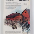Ida Maria Saarinen : Nokkosia ja harakankukkia - pikkukuva 2