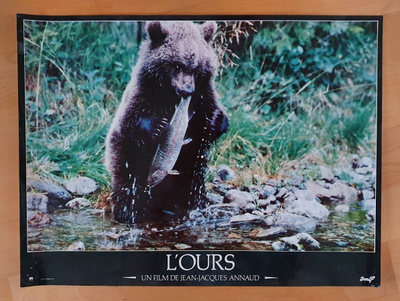 Karhu -elokuvan STILL-kuva (40 x 30 cm)