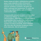 Sally Altschuler: Palavat silmät - pikkukuva 2