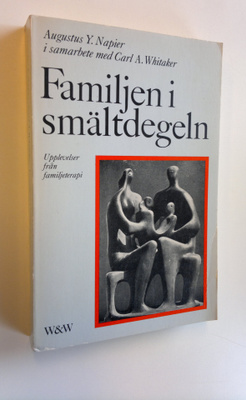 Augustus Y. Napier : Familjen i smältdegeln : Upplevelser...