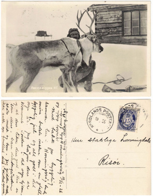 Vanha kortti, poro valjastetaan, vuodelta 1926