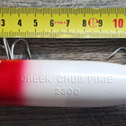 Creek chub pikie vaappu! - pikkukuva 3