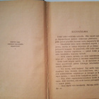 Munsterhjelm - Hirn: Kolme poikaa huippuvuorilla, v. 1933 - pikkukuva 4