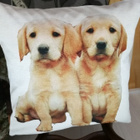 Labradorinnoutajan pennut tyynynpäällinen - pikkukuva 4