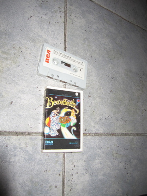 Beaverteeth – Beaver Teeth : hienokuntoinen c-kasetti