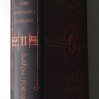 J.R.R. Tolkien - Taru sormusten herrasta 2 - Kaksi tornia - pikkukuva 2