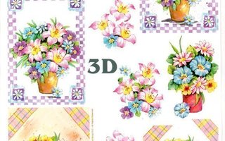 3D KUVA °°KAUNIIT KESÄKUKAT RUUKUISSA°° /Le Suh