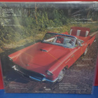 THE FABOLOUS THUNDERBIRDS - T BIRD RHYTHM FRA -82 M-/M- LP - pikkukuva 2