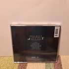 DÉCLASSÉ: Remain Still CD(Elektro-pop) - pikkukuva 2