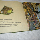 Birger Koch Tapu etsii tupaa - pikkukuva 4