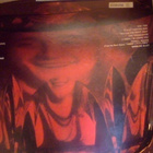 ROD STEWART  ::  SING IT AGAIN ROD  ::  VINYYLI   LP - pikkukuva 2