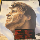 Skids: Joy 1981 LP - pikkukuva 2
