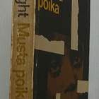 Richard Wright - Musta poika - pikkukuva 2