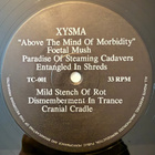 [MINI-LP] XYSMA: ABOVE THE MIND OF MORBIDITY - pikkukuva 3
