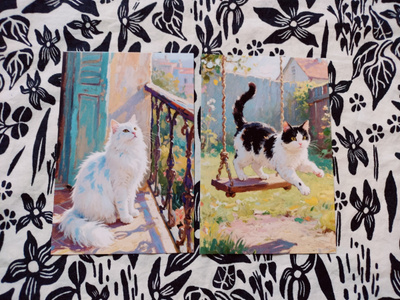 ~Kissa kortti~ 2kpl