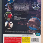 Galapagos-saaret (2006) BBC:n luontodokumentti - pikkukuva 2