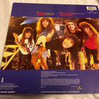 Anthrax - I’m the Man (LP) - pikkukuva 2