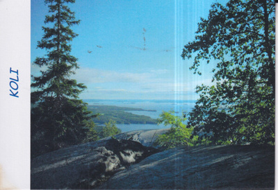 Koli . Kuva: Rauno Santonen 4/09.  e166
