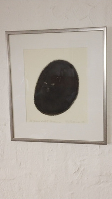 Frans Toikkanen Herääminen