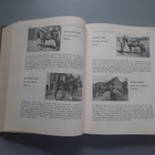 Suomalaisia kantakirjaoriita, Kivi 1946 - pikkukuva 4