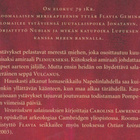 Caroline Lawrence: Vesuviuksen salaisuudet - pikkukuva 3