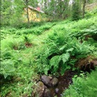 Tontti 3400 m2 - pikkukuva 2