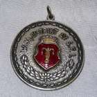 Vaasan vaakuna riipus 1953 - pikkukuva 1