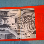 JANIS JOPLIN In Concert CBS – 67241 1972 UK - pikkukuva 2