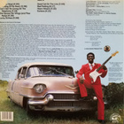 LUCKY PETERSON: Lucky Strikes! * 1989 USA - pikkukuva 2