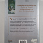 Brian Jacques : Lentävä hollantilainen - Haaksirikkoiset - pikkukuva 2
