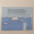 Armelle Boy : Matka Jääsaarelle - pikkukuva 2