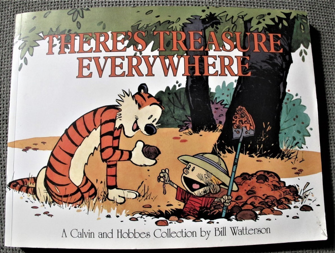 Calvin and Hobbes : There is treasure everywhere