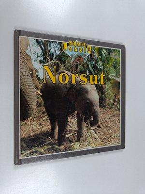 Kate Petty : Norsut