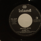 Jethro Tull 7" Living In The Past/Driving Song (ps) - pikkukuva 4