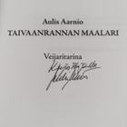 Aulis Aarnio : Taivaanrannan maalari : veijaritarina (tek... - pikkukuva 3
