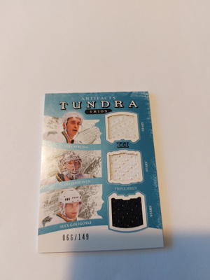 2011-12 Artifacts Ribeiro/Kari Lehtonen/Goligoski Paita /149