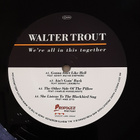 Walter Trout - We're All in This Together uudenveroinen 2LP - pikkukuva 5