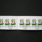 FDC-leimattu postimerkkivihko Tyttöfutis 2007 - LaPe V2 - pikkukuva 1
